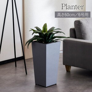 y48Ԍ |Cg5{ L&JTCxg(11/15-16)z v^[ v^[Jo[ 6p i 60cm 28cm ϗtA RN[g   C_XgA Vv k y 