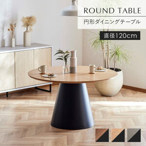 y|Cg10{!11/1_tf[z _CjOe[u ۃe[u 120cm 4l 4lp  ~` VR ؐ EH[ibg I[N O[ r  _ k 0938