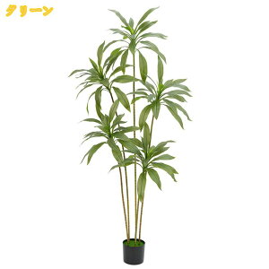 観葉植物 人工観葉植物 コーヒーの木」の人気商品一覧・価格比較 