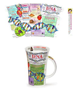 _X[p[Z[Ԍ10{^_k[@}O@irA}OjGlencoe DNA 500ml@DUNOON