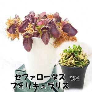 HA@Zt@[^X@tHLXitNLmV^j~jǉ\