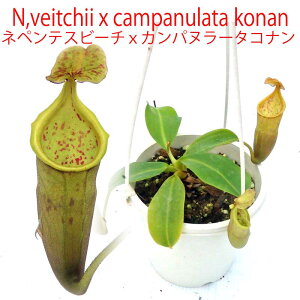 HA@lyeX@r[`oI@x@Jpk[^@Ri@4.5