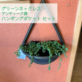 楽天市場 グリーンネックレス 吊りの通販 楽天市場 グリーンネックレス 吊りの通販