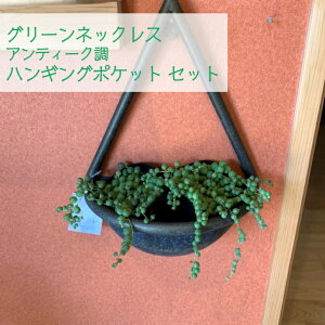 観葉植物 グリーンネックレス 多肉植物の人気商品 通販 価格比較 価格 Com