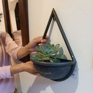 多肉植物 吊り下げの人気商品 通販 価格比較 価格 Com 多肉植物 吊り下げの人気商品 通販 価格比較 価格 Com
