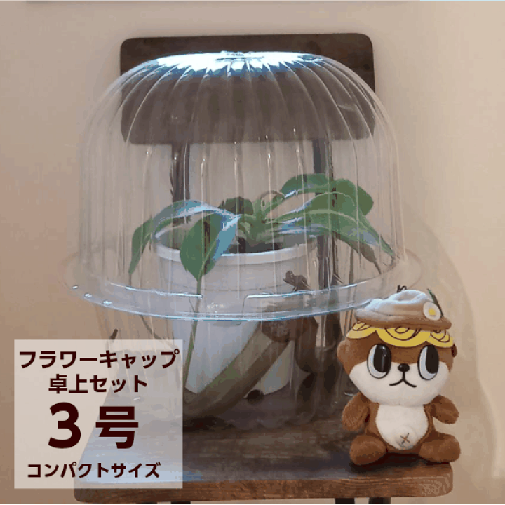 楽天市場 冬越し フラワーキャップ卓上セット ミニ温室 ３号 ワンダープランツ