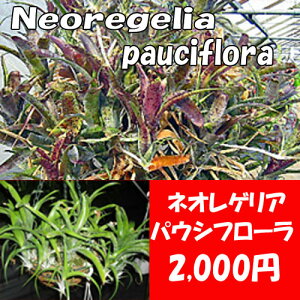 lIQA@'pEVt['@yAzyʔAzyAiiXzyRz