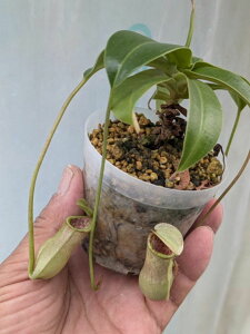 HA@lyeX@({bVAi@x@X}g[ijxm[VAi@Ri@}ؕc