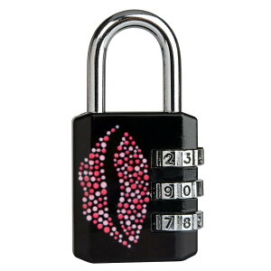 Master Lock (�}�X�^�[���b�N) �싞�� �_�C���� �Ïؔԍ��ݒ� ���^ �v�����g �{�̕�30mm �ݍ����a22mm ���^�� �h�� 1509EURDKISS �L�X