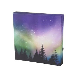 ���J�Y��(Chatani) LED�L�����o�X�A�[�g�Ǌ|���^�C�v W26×D4×H25cm �I�[���� 500-102