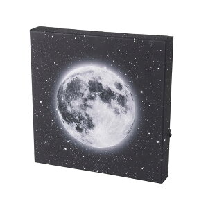 ���J�Y��(Chatani) LED�L�����o�X�A�[�g �Ǌ|���^�C�v W26×D4×H25cm �� 500-101