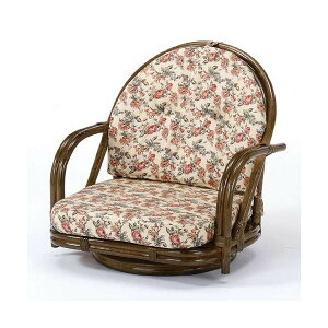 yz ]֎q[^Cv mS-251Bn