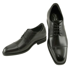 yzy|CgUPzRENICA jJ q[AbvV[Y Xg[g`bv ubN [1608] y؁z