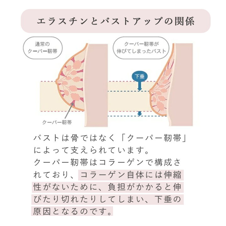 楽天市場】季令 KIREI バストクリーム 120g 高純度エラスチン配合 裸で 