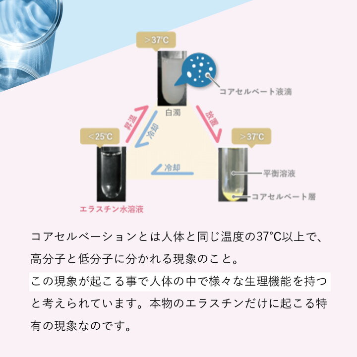 楽天市場】【リニューアル エラスチン量20％UP♪】【2袋セット】季令 