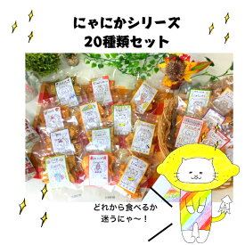 楽天スーパーSALE　割引商品　30％OFF　イカフライ　おつまみ　広島お土産　広島名物　にゃにかシリーズ20　20種類　いかフライ　イカ天　いか天　詰め合わせ　おやつ　お菓子　駄菓子　家飲み　酒の肴　食べ比べ　味比べ　お取り寄せグルメ　ご当地グルメ