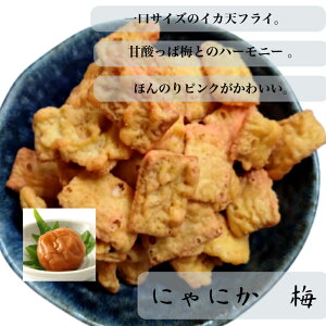 ()@ɂɂ@CJtC@~@`bNt@܂݁@LyY@L@CJV@CJV@TNTN@@َq@ʉَq@~@Î_ς@Hׂ₷