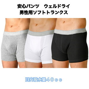 EFhC \tggNX z40cc jpփpc ARpc M L LL AR ARpc  hV̓ v[g蕨 