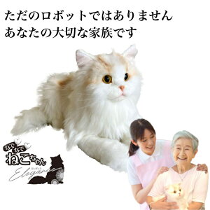 ȂłȂł˂EX GKX ʂ l` L ʂ ybg b ׂ R~jP[V{bg ȂłƂȂ ˂ Ԏ Vl N VjA  q EF