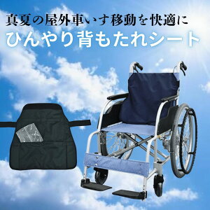 ЂwV[g 4060 lCr[ MǗ\h ߗ pi Ԃ ԃCX Ԉ֎q w ̉ ⊴ MǑ΍