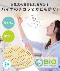 y2gzp[oCI C̃Jrꂢ RWbg 2g { oCI hL hJr L  ȒP |