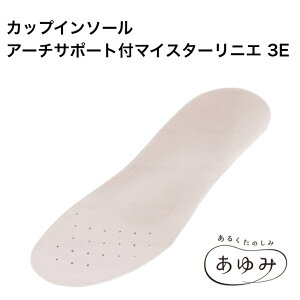 Y JbvC\[ A[`T|[gt}CX^[jG 3E ~ AC{[ O[ x_[ 9312