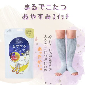 y܂ł ₷݃XCb`]zCTv ₷݃XCb` ܂ł Jbg\bNX fB[X C [\bNX bOEH[}[ 22`25cm fB[X H~ H