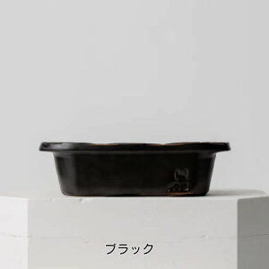 nC OVAL solo nC I[o^ LvNbJ[  I[uM ϔM tM O^M I[uΉ dqWΉg[X^[Ή ĂOΉ ΑΉ hi