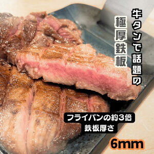 yԒ 65%OFFI11/11 01:59܂ŁzɌ SI Pegoo TEPPAN 6mm NbJ[ ۉ ~M Xe[LM RpNg[ \Lv o[xL[ l Lv ܂ wt ē Obv