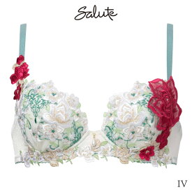30%OFF サルート Salute 16グループ ワコール ブラジャー 3/4カップ プッシュアップタイプ(G H I)BTJ416