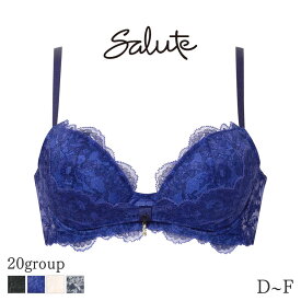 【2/16 10:59まで22%OFF】サルート Salute 20グループ ワコール ブラジャー 3/4カップ リボンブラ(D E F)BTJ720