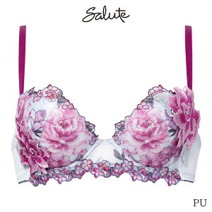 23%OFF �T���[�g Salute 21�O���[�v ���R�[�� �u���W���[ 3/4�J�b�v �v�b�V���A�b�v�^�C�v(G H I)BTJ421