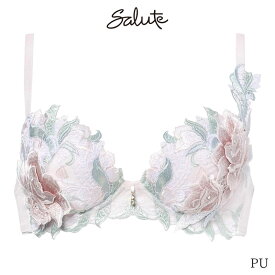 【2/16 10:59まで22%OFF】サルート Salute 22グループ ワコール ブラジャー 3/4カップ プッシュアップタイプ(G H I)BTJ422