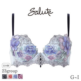 【2/16 10:59まで22%OFF】サルート Salute 23グループ ワコール ブラジャー 3/4カップ プッシュアップタイプ(G H I)BTJ423