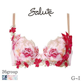 【2/16 10:59まで22%OFF】サルート Salute 26グループ ワコール ブラジャー 3/4カップ プッシュアップタイプ(G H I)BTJ426