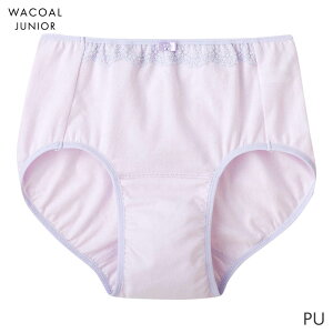 y11/4 10:59܂22%OFFzR[ WjA K[Y Tj^[V[c n[t m[}(S M L)CYX185y[05z