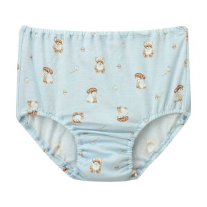 y12/26 10:59܂22%OFFzR[ LbY ji K[Y V[c ͂ݏӂ m[}V[c(90 100 110)CAX180y[04z