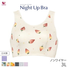 《5/27 10:59まで20%OFF》ワコール ナイトアップブラ ブラジャー ノンワイヤー(3Lサイズ)BRA164【メール便10】