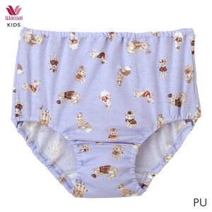 y12/26 10:59܂22%OFFzR[ LbY ji K[Y V[c ͂ݏӂ m[}V[c(90 100 110)CAX180y[04z