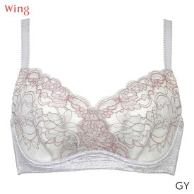 【2/16 10:59まで22%OFF】ウイング 小さく見せるブラ ブラジャー 3/4カップ(D E F)KB6100