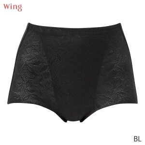 �y9/11 10:59�܂�22%OFF�z�E�C���O P�p���c ���[�X�V�F�C�v�V���[�c �␮�V���[�c �͂����ݏ�ӂ��� �m�[�}���V���[�c(M L LL)KJ4250�y���[����06�z