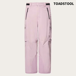 OAKLEY I[N[ EFA TC CHANNEL CARGO PANT FOA406105 24-25(2025)f pc