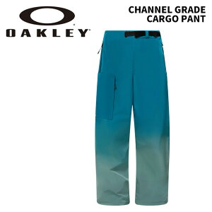 OAKLEY I[N[ EFA CHANNEL GRADE CARGO PANT 25-26(2026)f pc