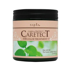 ナプラ napla ケアテクトHB カラートリートメントV ハリ・コシ タイプ 250g 1個 ノンシリコン ヘアケア CARETECT Vタイプ 国内正規品