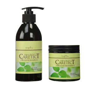 ナプラ napla ケアテクトHB カラーシャンプーS 300mL + カラートリートメントS 250g 計2個 お試し しっとりタイプ ノンシリコン CARETECT 国内正規品