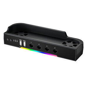 Nintendo Switch2 p NGC+USB nu pt@t Q[L[uRg[[ ڑ USB nu XCb`2 ANZT[ Ӌ@ SWITCH2 FAM-AL-NS2571y[ցz