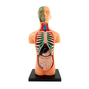 �l�̖͌^ 11�p�[�c ���� �͌^ �g�ݗ��� ��U�w �m��ߋ� �p�Y�����o �l�� �׋� �������� ��FAM-TXMR-025