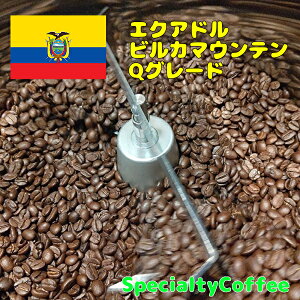 R[q[yGNAhY R[q[ rJ}Ee@QO[hzSpecialtyCoffee 蓤  R[q[
