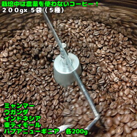コーヒー コーヒー豆【栽培中は農薬を使わないスペシャルティコーヒー豆5種セット福袋200g×5袋】珈琲 珈琲豆 福袋