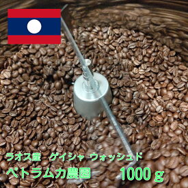 コーヒー コーヒー豆【ラオス産　ゲイシャ　ペトラムカ農園1000グラム】珈琲豆 珈琲 ゲイシャ 豆でも粉でも可 自家焙煎 受注後に焙煎